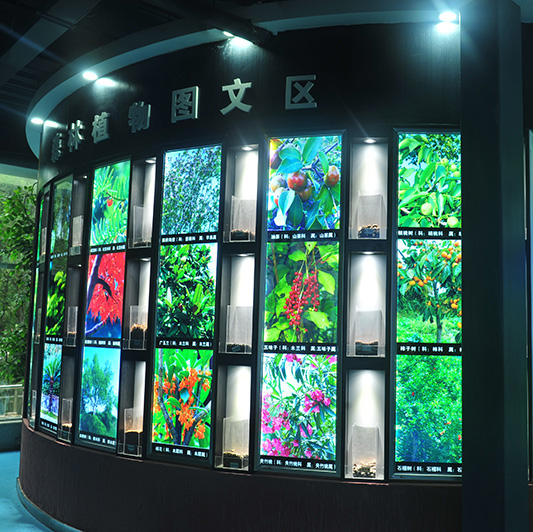 森林植物图文区