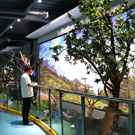 飞禽爬行哺乳区